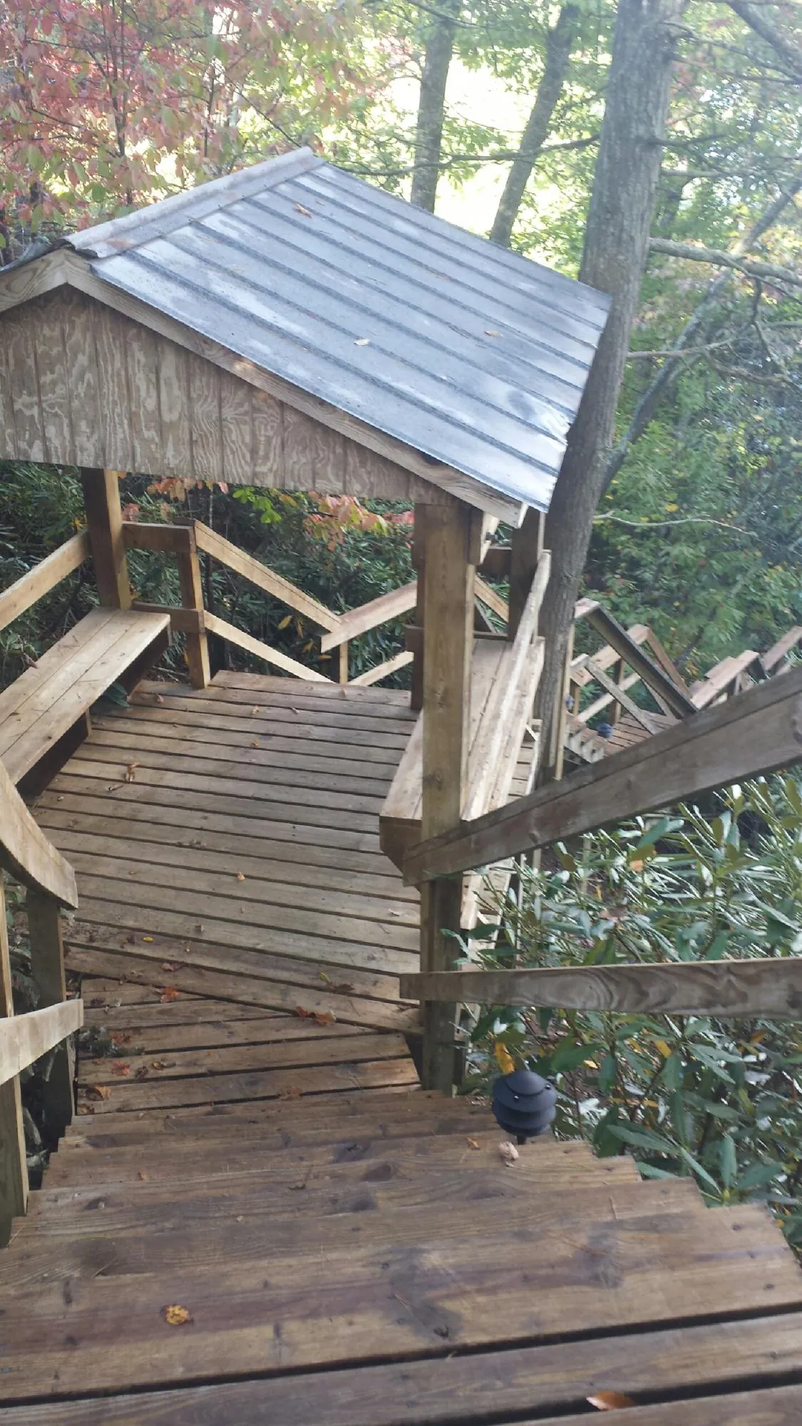 Metal roofed shelter over wooden steps on a wooded walkway — Skylight Repair & Installation work by our crew in Comfrey